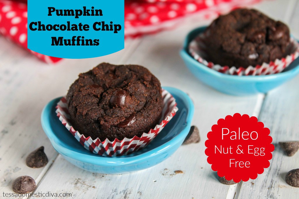 Paleo Pumpkin Chocolate Muffins – Egg & Nut Free